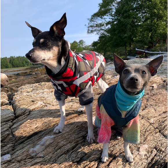 ☀️NIFTY 50s: #25 is CLOSED—PLZ BEAT FEET ON OVER & “♥️” #26❣️TY PFF’S!🫶🏼🥰♥️🌻 - Picture 16 of 17